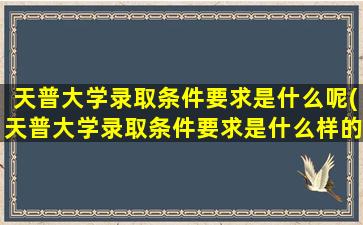 天普大学录取条件要求是什么呢(天普大学录取条件要求是什么样的)