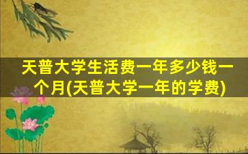 天普大学生活费一年多少钱一个月(天普大学一年的学费)