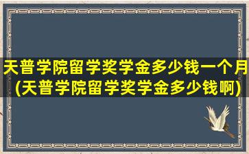 天普学院留学奖学金多少钱一个月(天普学院留学奖学金多少钱啊)