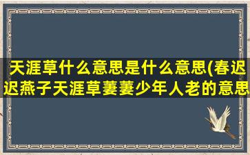 天涯草什么意思是什么意思(春迟迟燕子天涯草萋萋少年人老的意思)