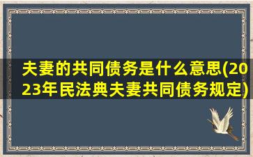 夫妻的共同债务是什么意思(2023年民法典夫妻共同债务规定)