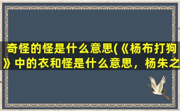 奇怪的怪是什么意思(《杨布打狗》中的衣和怪是什么意思，杨朱之弟日布，衣素衣而出，是什么意思)