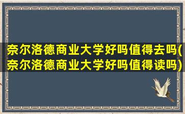 奈尔洛德商业大学好吗值得去吗(奈尔洛德商业大学好吗值得读吗)