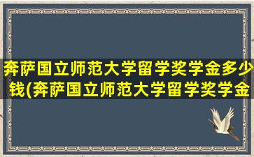 奔萨国立师范大学留学奖学金多少钱(奔萨国立师范大学留学奖学金多少钱一个月)