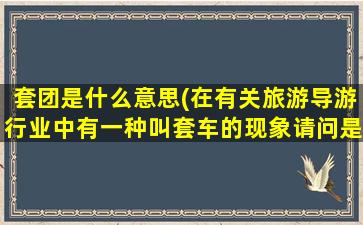 套团是什么意思(在有关旅游导游行业中有一种叫套车的现象请问是什么)