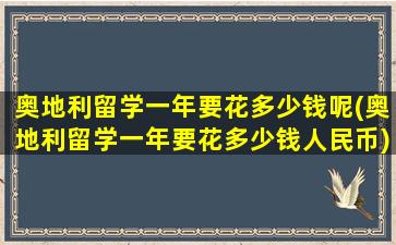 奥地利留学一年要花多少钱呢(奥地利留学一年要花多少钱人民币)