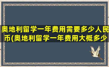 奥地利留学一年费用需要多少人民币(奥地利留学一年费用大概多少钱)