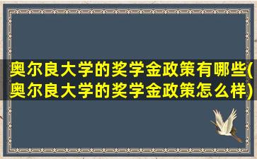 奥尔良大学的奖学金政策有哪些(奥尔良大学的奖学金政策怎么样)