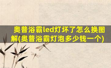 奥普浴霸led灯坏了怎么换图解(奥普浴霸灯泡多少钱一个)