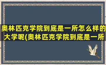 奥林匹克学院到底是一所怎么样的大学呢(奥林匹克学院到底是一所怎么样的大学呢英文)