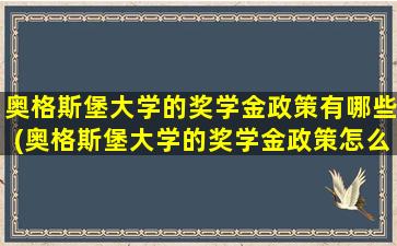 奥格斯堡大学的奖学金政策有哪些(奥格斯堡大学的奖学金政策怎么样)