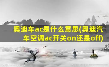 奥迪车ac是什么意思(奥迪汽车空调ac开关on还是off)