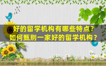 好的留学机构有哪些特点？如何甄别一家好的留学机构？