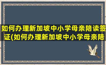 如何办理新加坡中小学母亲陪读签证(如何办理新加坡中小学母亲陪读证明)