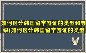 如何区分韩国留学签证的类型和等级(如何区分韩国留学签证的类型和级别)