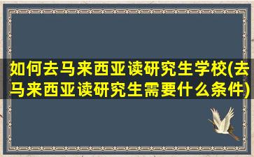 如何去马来西亚读研究生学校(去马来西亚读研究生需要什么条件)