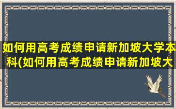 如何用高考成绩申请新加坡大学本科(如何用高考成绩申请新加坡大学硕士)