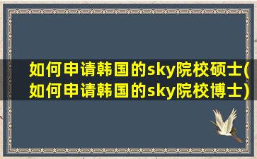 如何申请韩国的sky院校硕士(如何申请韩国的sky院校博士)