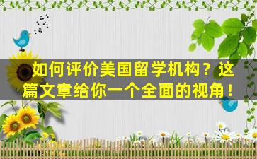 如何评价美国留学机构？这篇文章给你一个全面的视角！