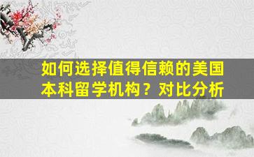 如何选择值得信赖的美国本科留学机构？对比分析