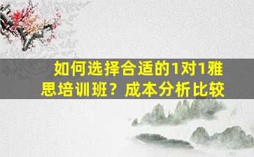 如何选择合适的1对1雅思培训班？成本分析比较