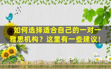 如何选择适合自己的一对一雅思机构？这里有一些建议！