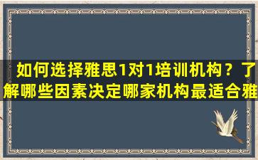 如何选择雅思1对1培训机构？了解哪些因素决定哪家机构最适合雅思一对一培训？