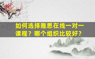 如何选择雅思在线一对一课程？哪个组织比较好？