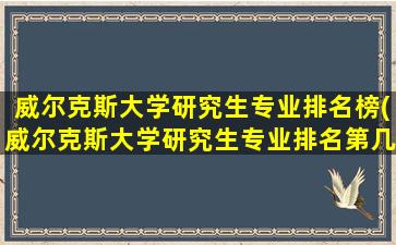 威尔克斯大学研究生专业排名榜(威尔克斯大学研究生专业排名第几)