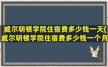 威尔明顿学院住宿费多少钱一天(威尔明顿学院住宿费多少钱一个月)