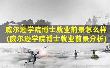 威尔逊学院博士就业前景怎么样(威尔逊学院博士就业前景分析)