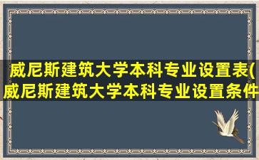 威尼斯建筑大学本科专业设置表(威尼斯建筑大学本科专业设置条件)