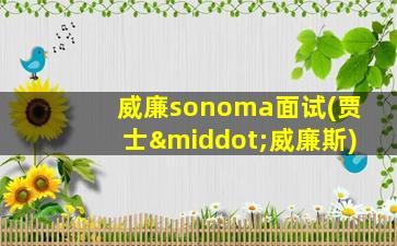 威廉sonoma面试(贾士·威廉斯)