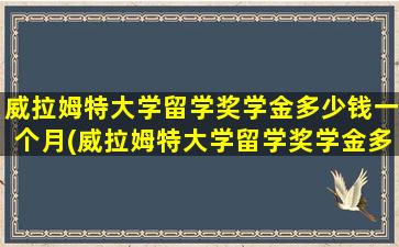 威拉姆特大学留学奖学金多少钱一个月(威拉姆特大学留学奖学金多少钱)