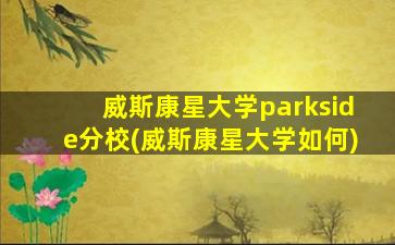 威斯康星大学parkside分校(威斯康星大学如何)