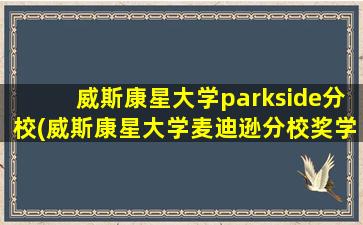 威斯康星大学parkside分校(威斯康星大学麦迪逊分校奖学金)