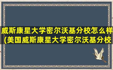 威斯康星大学密尔沃基分校怎么样(美国威斯康星大学密尔沃基分校世界排名)