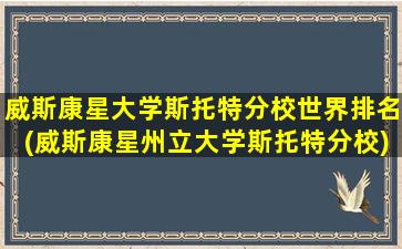 威斯康星大学斯托特分校世界排名(威斯康星州立大学斯托特分校)