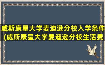 威斯康星大学麦迪逊分校入学条件(威斯康星大学麦迪逊分校生活费)