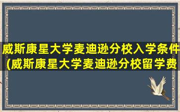 威斯康星大学麦迪逊分校入学条件(威斯康星大学麦迪逊分校留学费用)