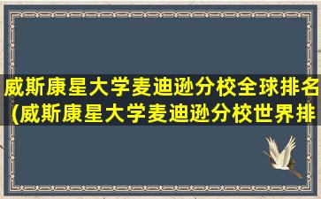 威斯康星大学麦迪逊分校全球排名(威斯康星大学麦迪逊分校世界排名)