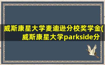 威斯康星大学麦迪逊分校奖学金(威斯康星大学parkside分校)