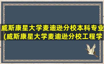 威斯康星大学麦迪逊分校本科专业(威斯康星大学麦迪逊分校工程学院)