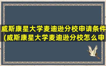 威斯康星大学麦迪逊分校申请条件(威斯康星大学麦迪逊分校怎么申请)