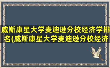 威斯康星大学麦迪逊分校经济学排名(威斯康星大学麦迪逊分校经济系)