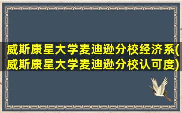 威斯康星大学麦迪逊分校经济系(威斯康星大学麦迪逊分校认可度)