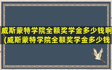 威斯蒙特学院全额奖学金多少钱啊(威斯蒙特学院全额奖学金多少钱一个月)