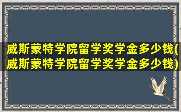 威斯蒙特学院留学奖学金多少钱(威斯蒙特学院留学奖学金多少钱)