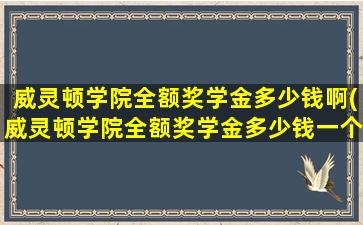 威灵顿学院全额奖学金多少钱啊(威灵顿学院全额奖学金多少钱一个月)