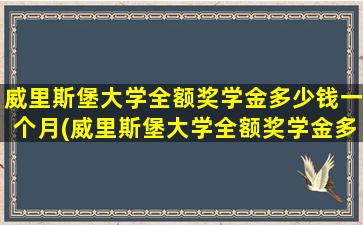 威里斯堡大学全额奖学金多少钱一个月(威里斯堡大学全额奖学金多少钱啊)